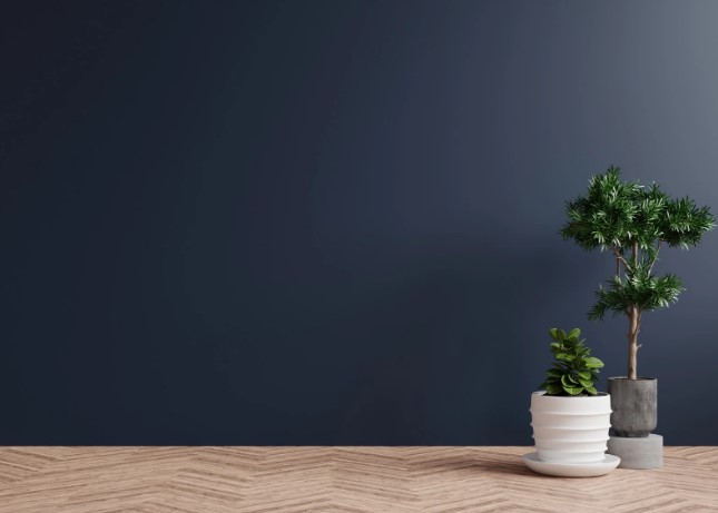 ошибки при выборе горшков для растений