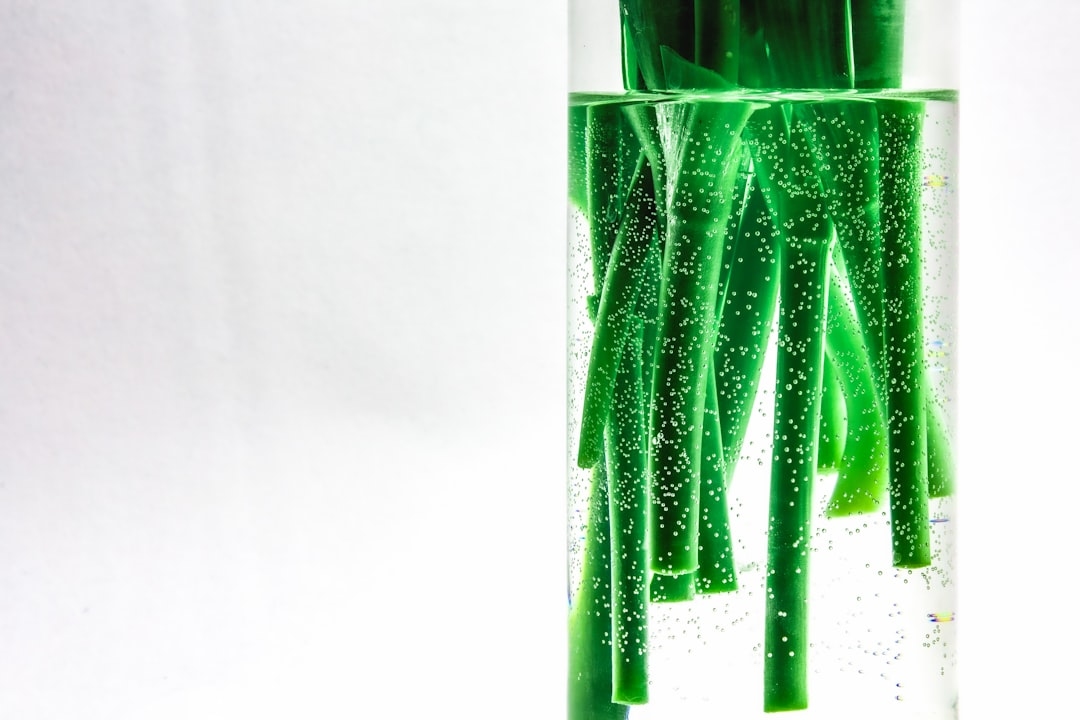 Тренди еко-прибирання у 2025 році: чим замінити хімію